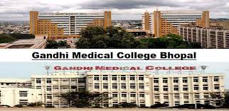 GMC Bhopal Recruitment 2024